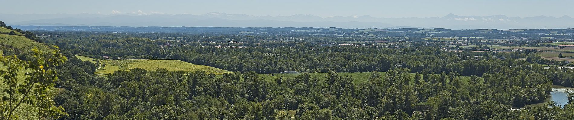 Excursión A pie Clermont-le-Fort - Boucle de Notre-Dame des Bois - Photo