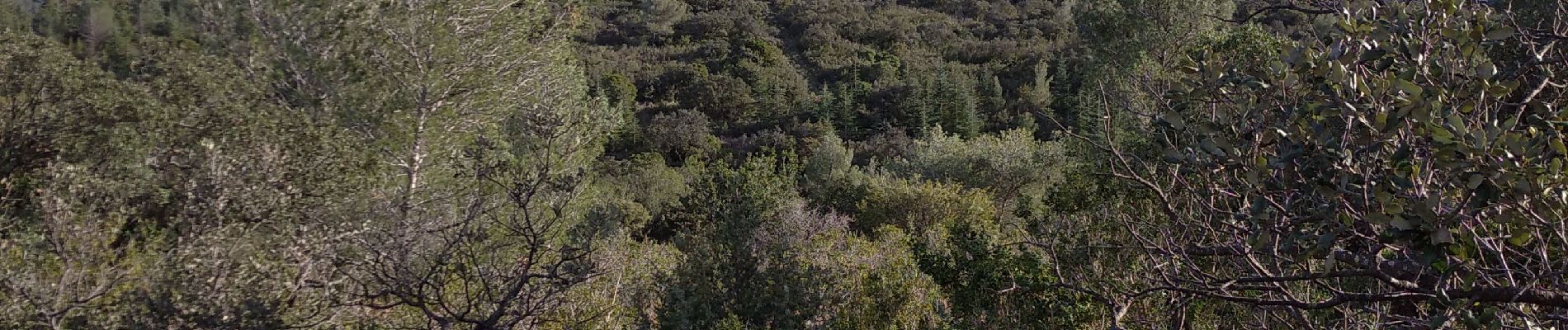 Tour Wandern Nîmes - 30 Nîmes au dessus du golf - Photo