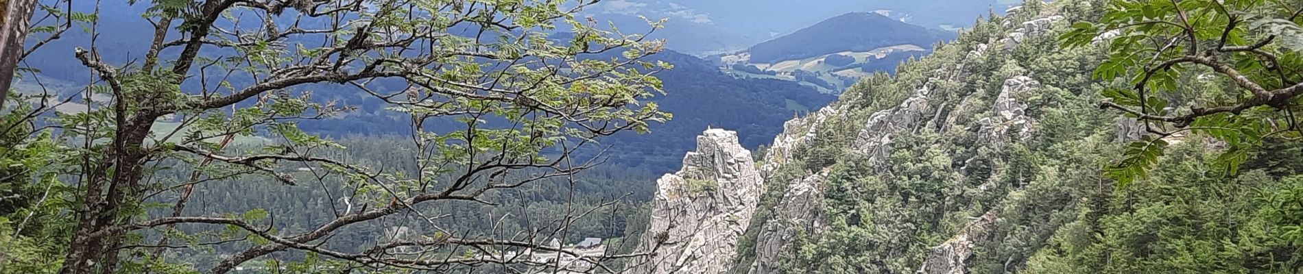 Tocht Stappen Orbey - orbey lac noir et lac blanc - Photo