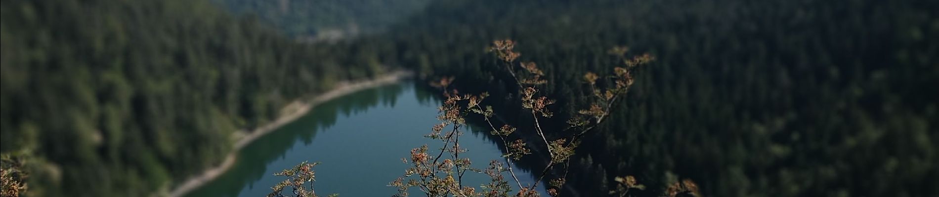 Randonnée Marche La Bresse - 22 juillet - Photo