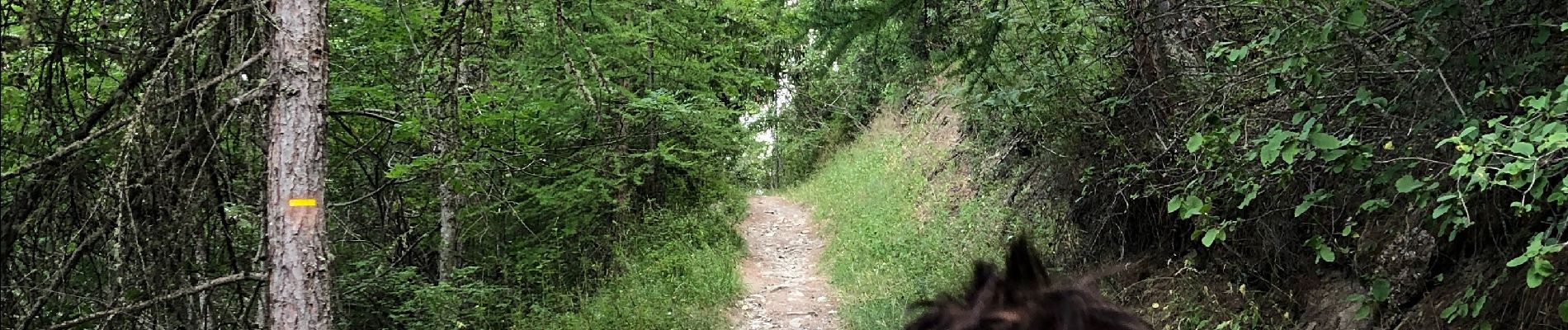 Tour Wandern Uvernet-Fours - Le Clos du Serre - Photo