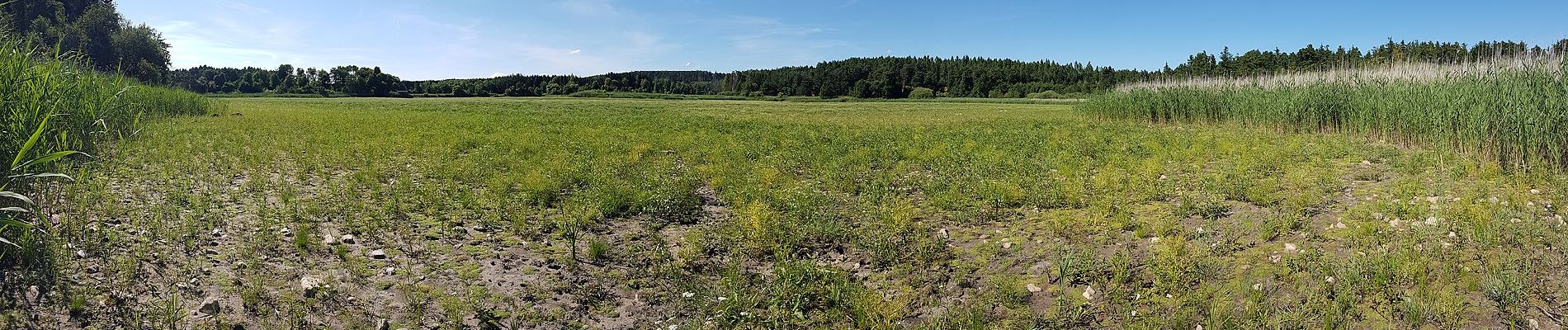 Tour Zu Fuß Gemeinde Pölla - Teichwanderweg Nr. 51 - Photo