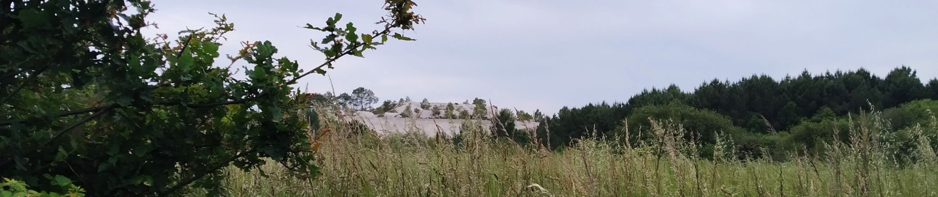 Excursión Senderismo Plœmeur - Tour le Lomener - Photo