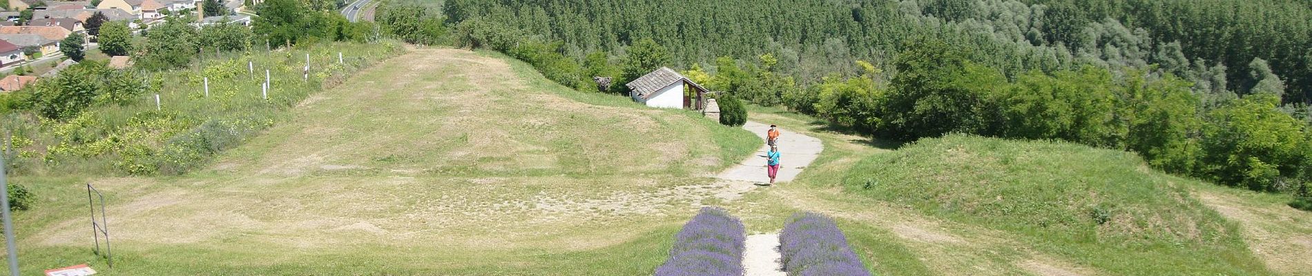 Tour Zu Fuß Paksch - P+ - Photo