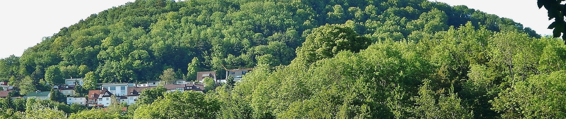 Tour Zu Fuß Göppingen - Göppingen-Hörnle - Photo