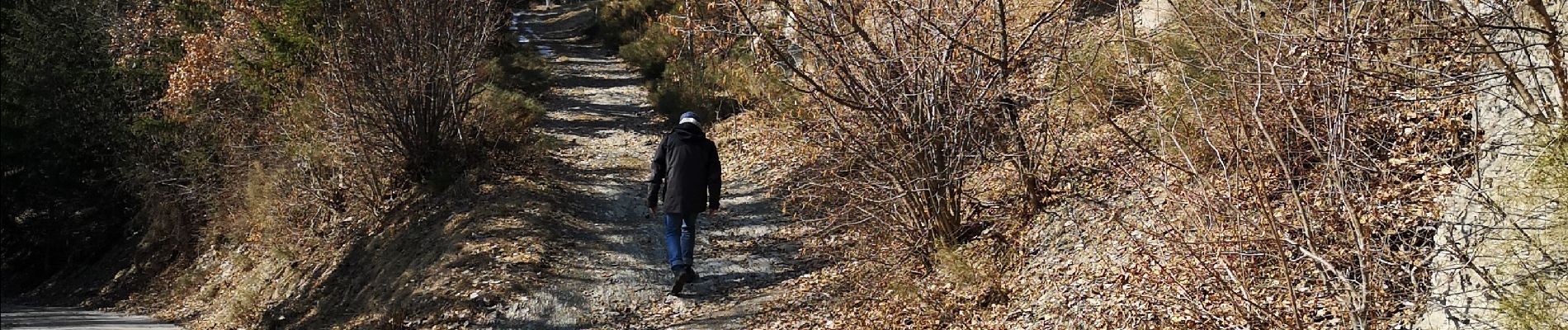 Trail Nordic walking Arbaz - bisse d'Ayen  - Photo