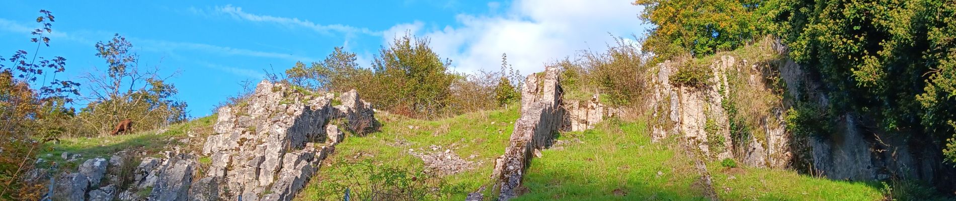 Tour Wandern Modave - modave - clavier station, retour par la ligne 126 - Photo