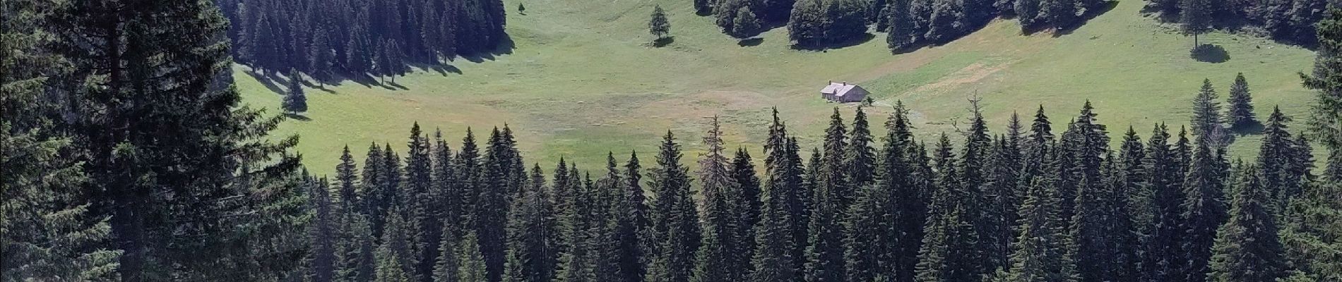 Trail Walking Les Rousses - Mont Sala vue sur le Leman - Photo