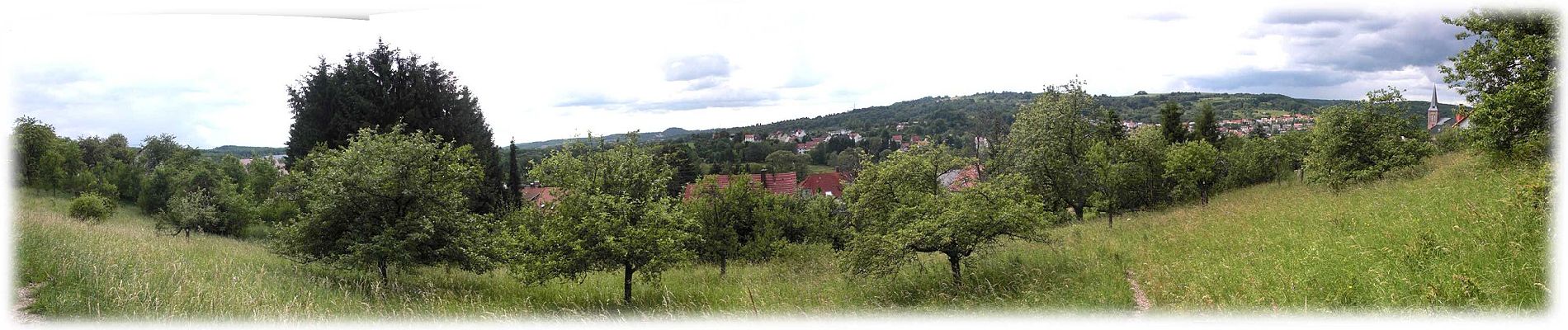 Randonnée A pied Bexbach - Hangard Brunnenpfad - Photo