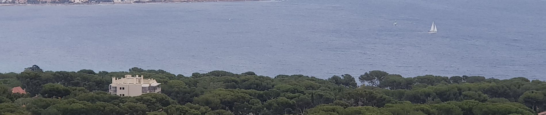 Percorso Sentiero La Seyne-sur-Mer - petit trail sympa dans la forêt de fabregas  - Photo