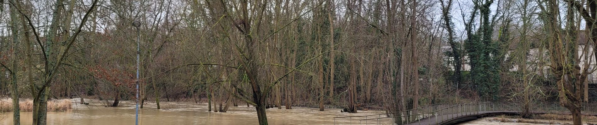 Tour Wandern Yerres - Boucle autour de Yerres via Mandres / Boussy / Epinay - Photo