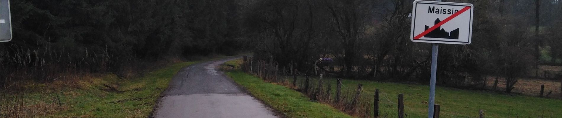 Tour Wandern Paliseul - devant le pré, le sarté - Photo