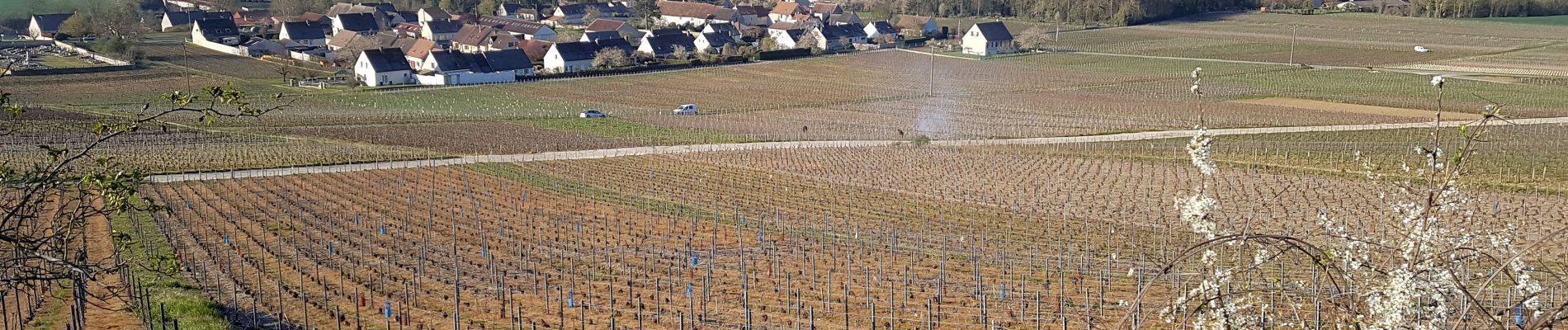 Excursión Senderismo Azy-sur-Marne - Azy du 07-04-2021 - Photo