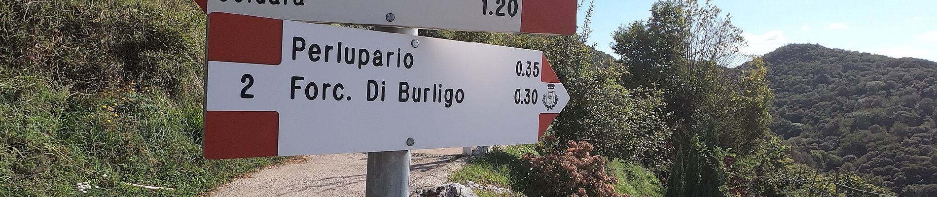 Trail On foot Caprino Bergamasco - Sentiero 807: Gronfaleggio - Col Pedrino - Photo