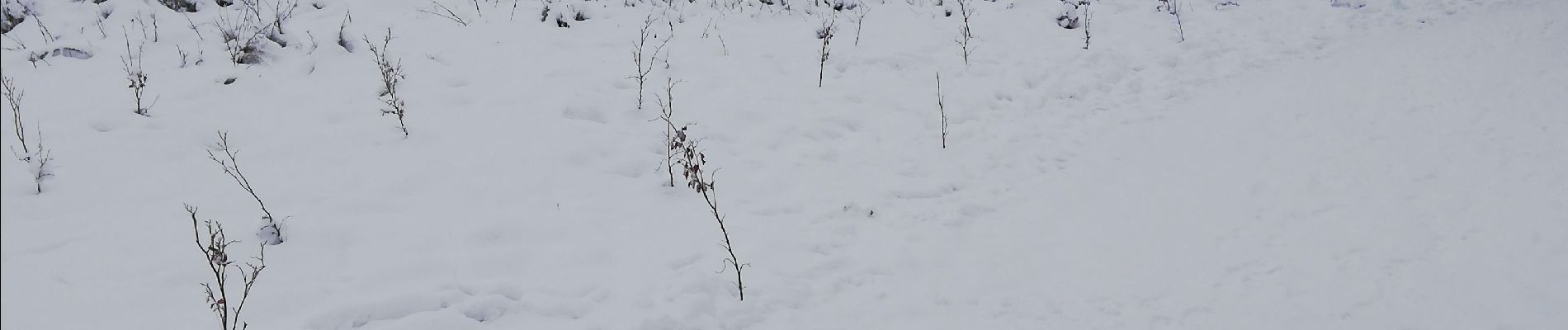 Trail Walking Waimes - les 2 vallées moulin du bayehon - Photo