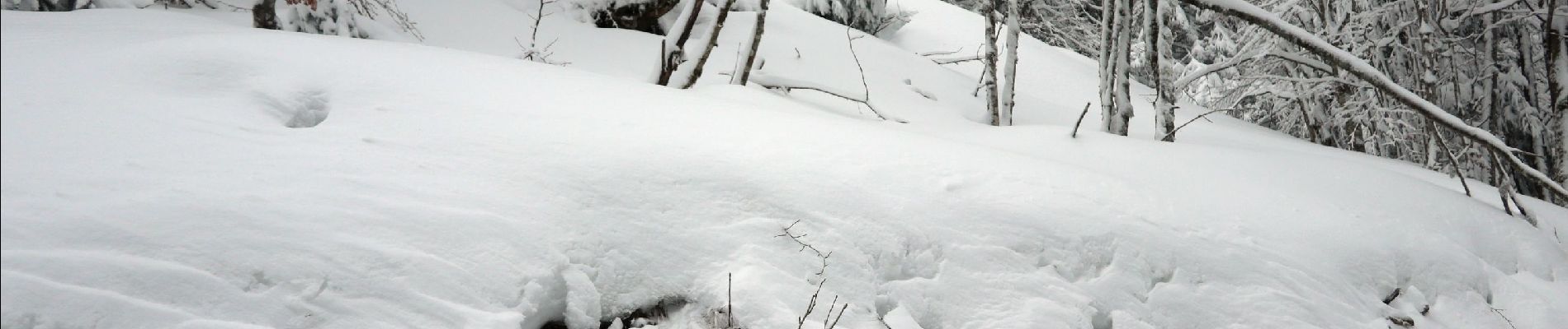 Randonnée Raquettes à neige Ventron - 20210124 - Col-Oderen - Chalet Forgoutte - Photo