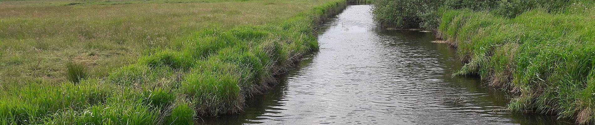 Tour Zu Fuß Grevenkrug - Eidertal Wanderweg - Photo