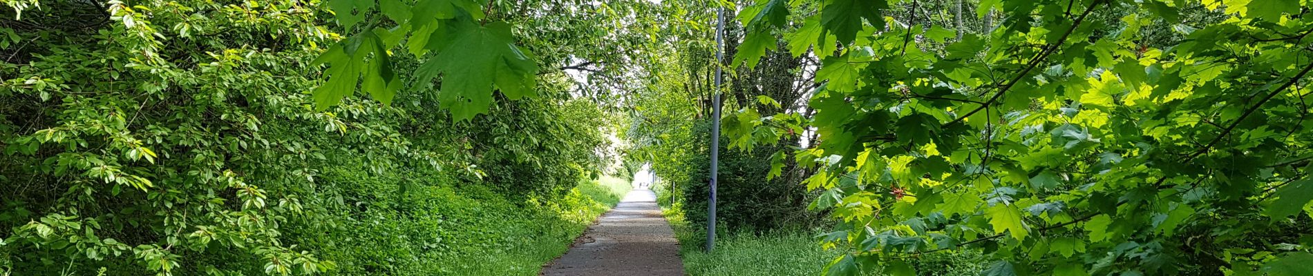 Percorso Marcia Liegi - Rocourt - Vottem - Rocourt  - Photo