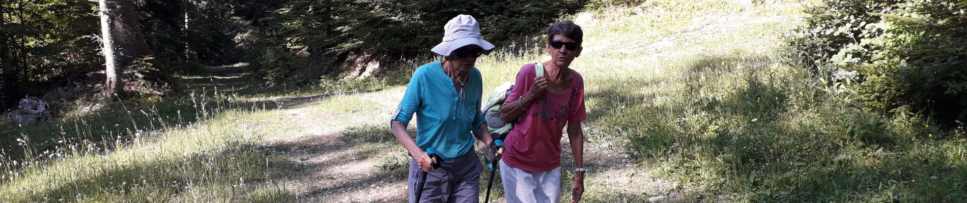 Tocht Stappen Autrans-Méaudre en Vercors - 05 07 19 - Photo