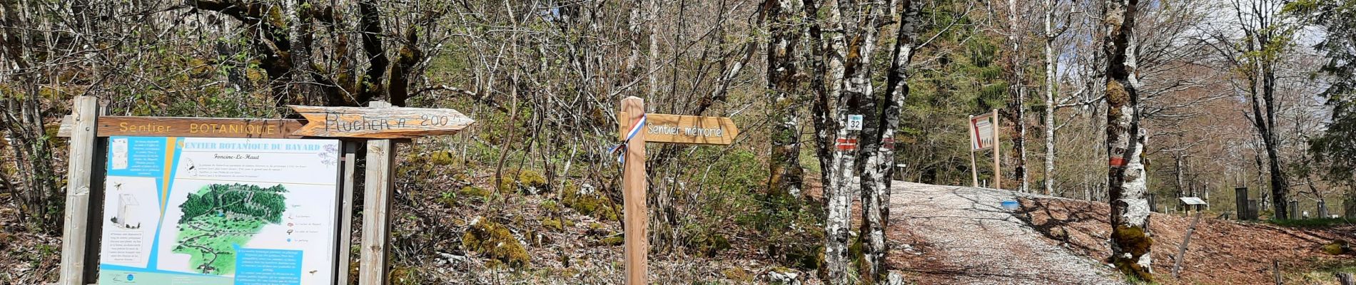 Tour Wandern Foncine-le-Haut - Le Bayard  - Foncine le Haut  - Photo