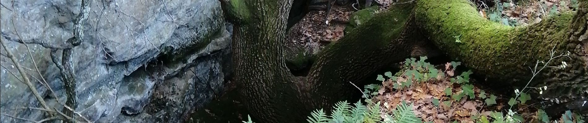 Randonnée Marche Clansayes - les crevasses  - Photo