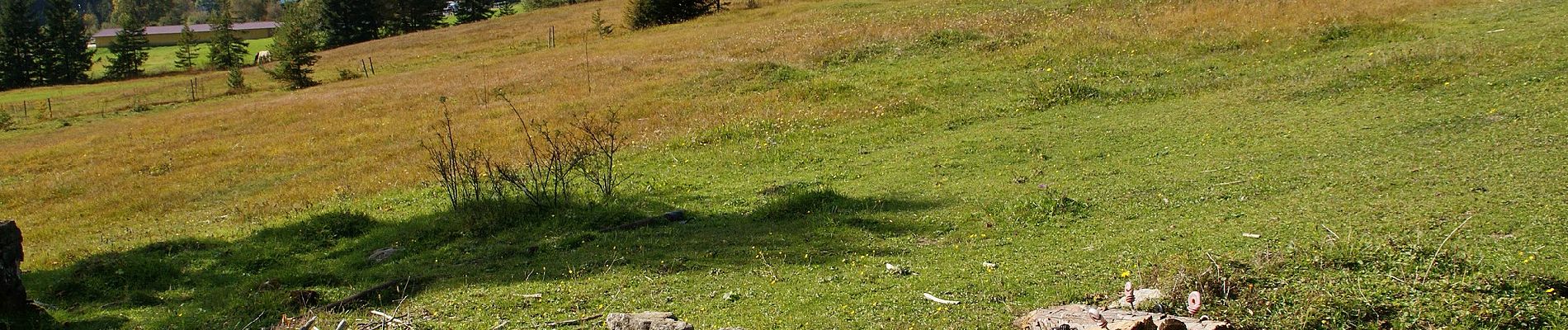 Tour Zu Fuß Ramsau am Dachstein - Vorbergrundweg - Photo