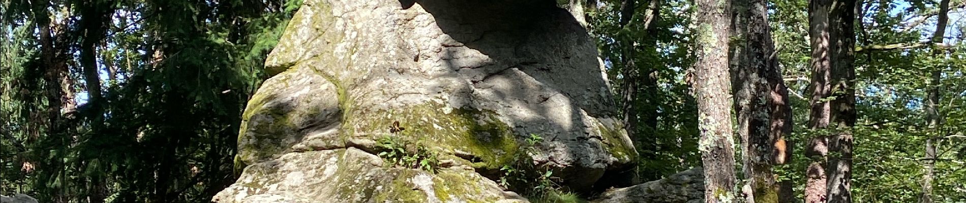 Tour Wandern Fayet-le-Château - Ronde des fours  - Photo