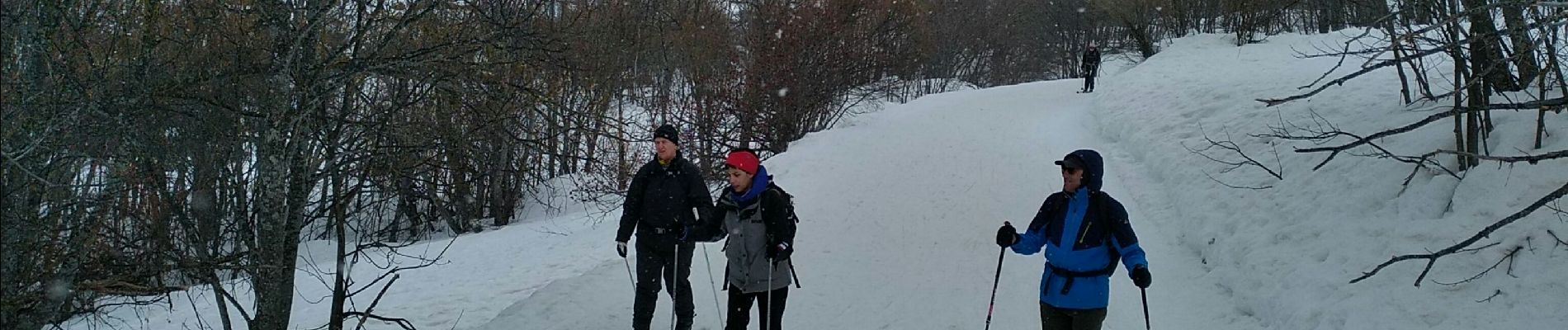 Randonnée Ski de randonnée Bonneval-sur-Arc - bonneval vallée de l'arc - Photo