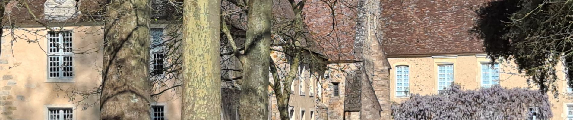 Tocht Stappen Le Mans - Arche de la nature  - Photo