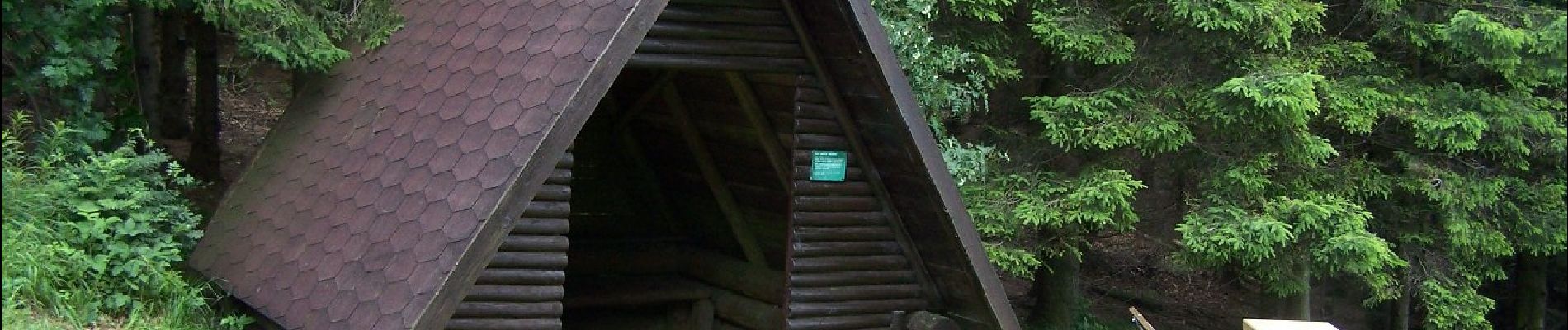 Tour Zu Fuß Brotterode-Trusetal - Rundwanderweg - Photo