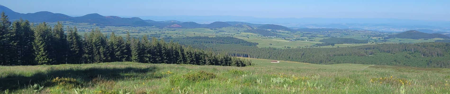 Excursión Senderismo Saulzet-le-Froid - 280522 Ferme de la tâche / Lac de Servière  - Photo