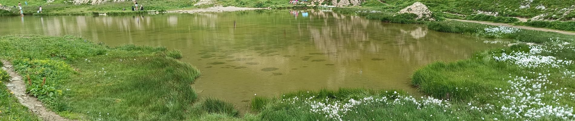 Randonnée Marche Le Reposoir - Lac de Peyre - Photo