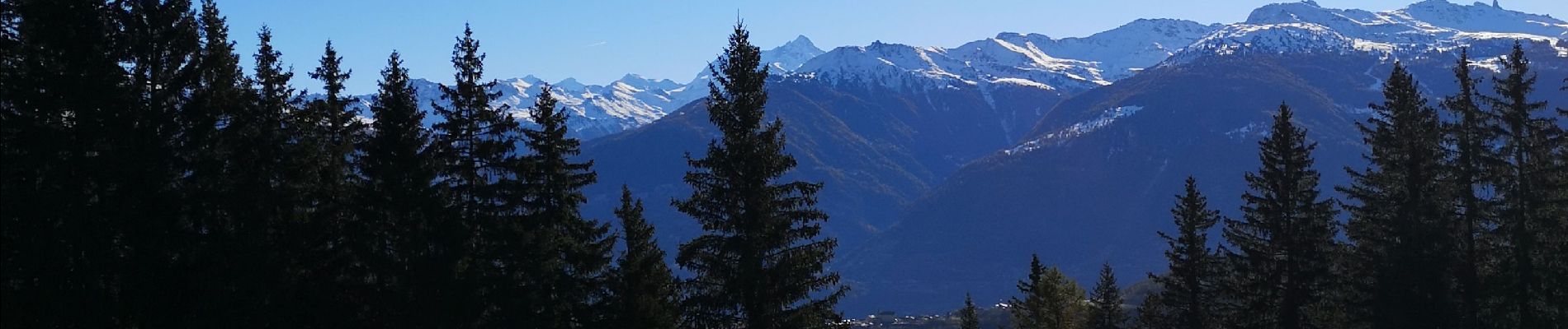 Tour Nordic Walking Ayent - Anzère et retour  - Photo