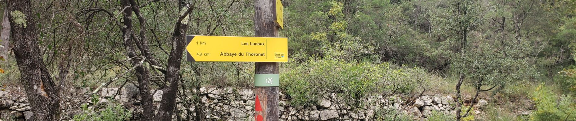 Tour Wandern Le Thoronet - Le chemin des moines - Photo