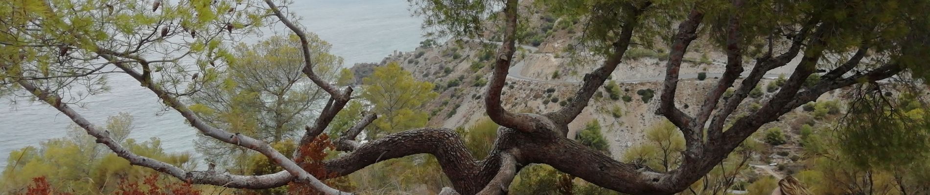 Randonnée Marche Almuñécar -  Cantarrijan     Cerro Caleta - Photo