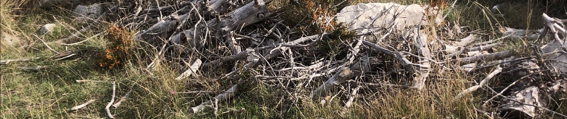 Tocht Stappen Moustiers-Sainte-Marie - Bivouac tatanka - Photo