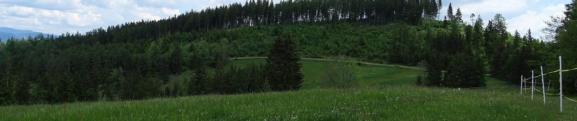 Randonnée A pied Stiwoll - Wanderweg 1 - Photo