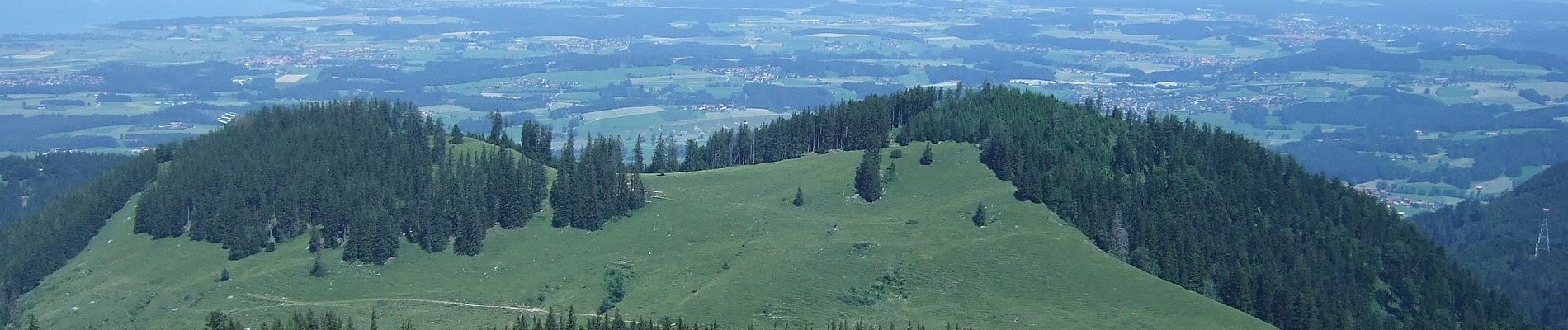 Tocht Te voet Bergen - Wanderweg 17 - Hochfelln - Photo