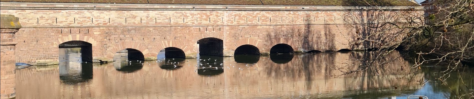 Randonnée Marche Strasbourg - Le tour de la grande isle  - Photo