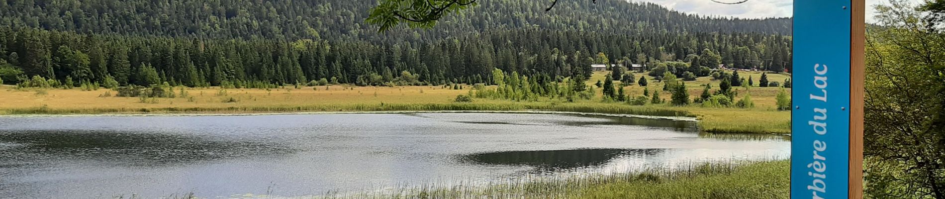 Tocht Stappen Lac-des-Rouges-Truites - Mont Noir de Vent - Photo