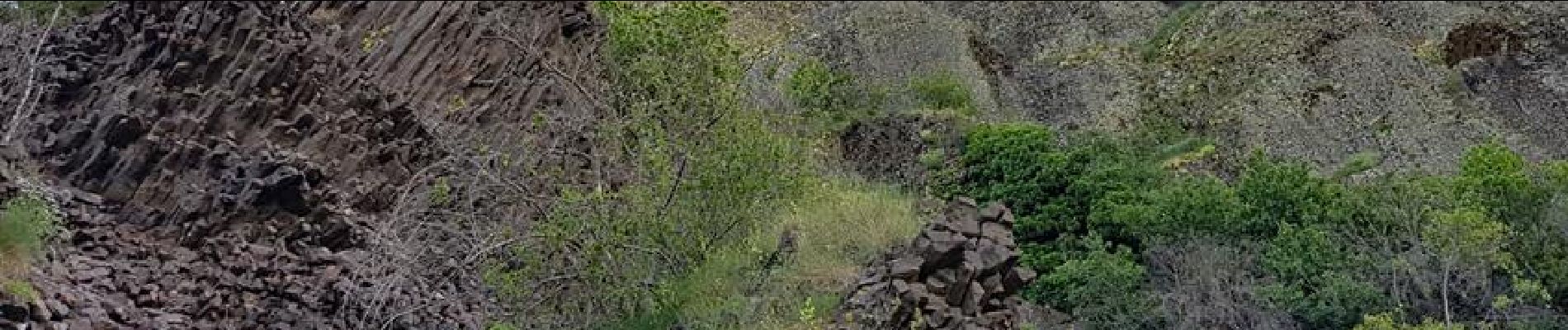 Tour Wandern Pranles - Volcan de Chirouse 12km. - Photo