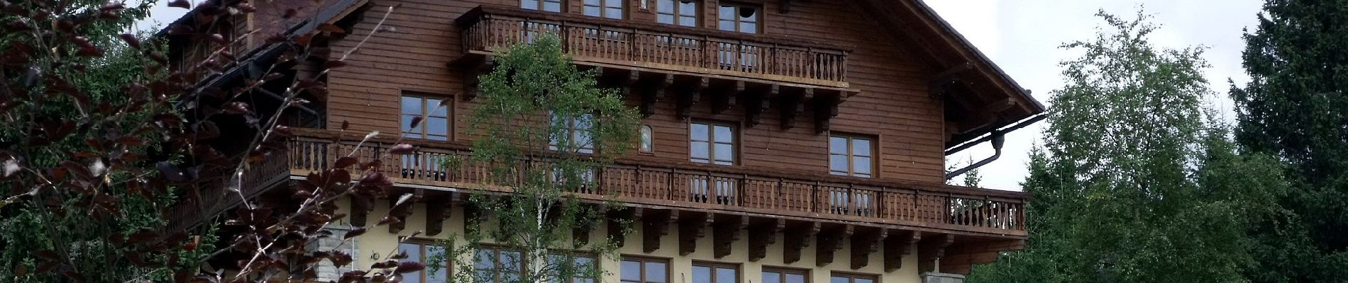 Tocht Te voet Spiegelau - Hauptwanderweg (Nationalpark Bayerischer Wald) - Photo