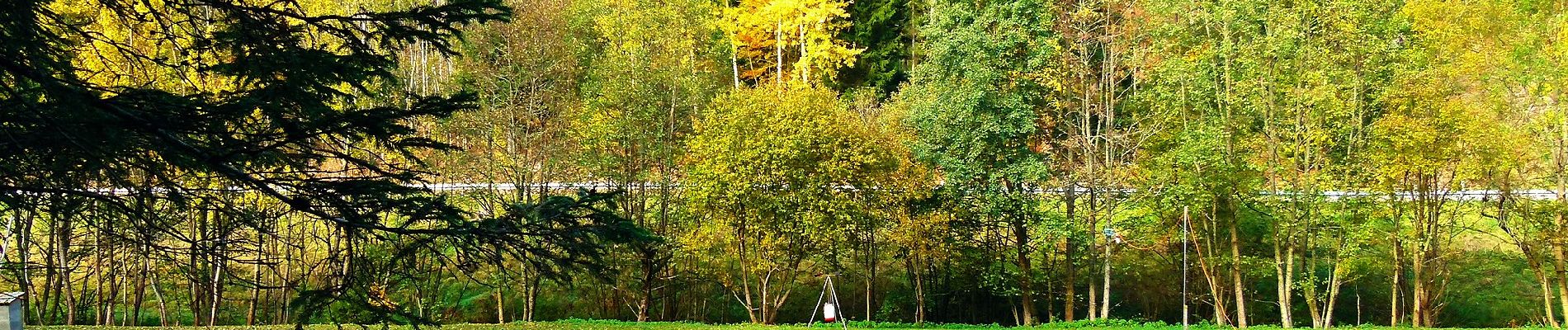 Tour Zu Fuß Grömbach - Pfaffenstube-Göttelfingen - Photo