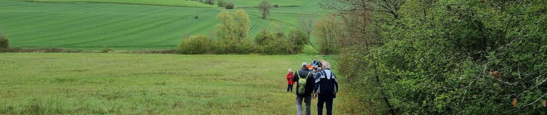 Trail Walking Vianne - ARAV  Vianne - Photo