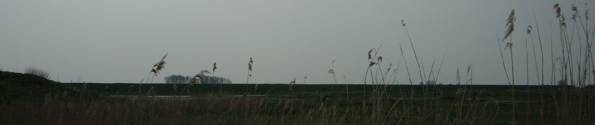 Tocht Te voet Hoeksche Waard - Blauwe wandelroute - Photo