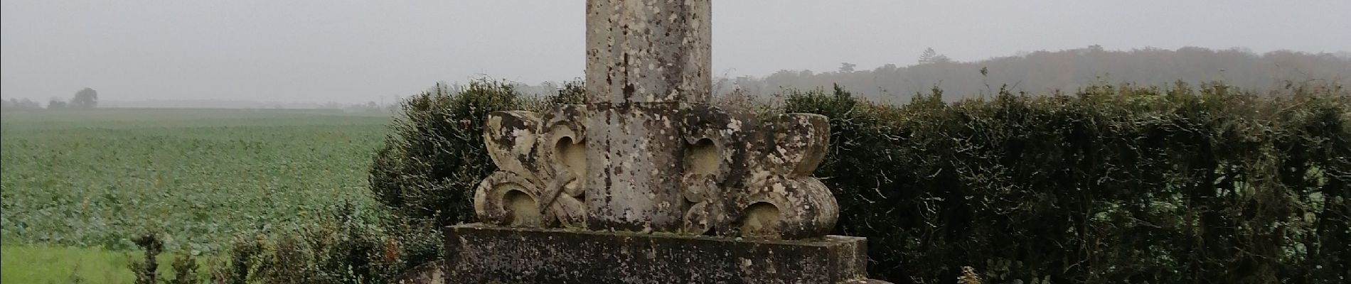 Randonnée Marche Aslonnes - Aslonnes - Photo