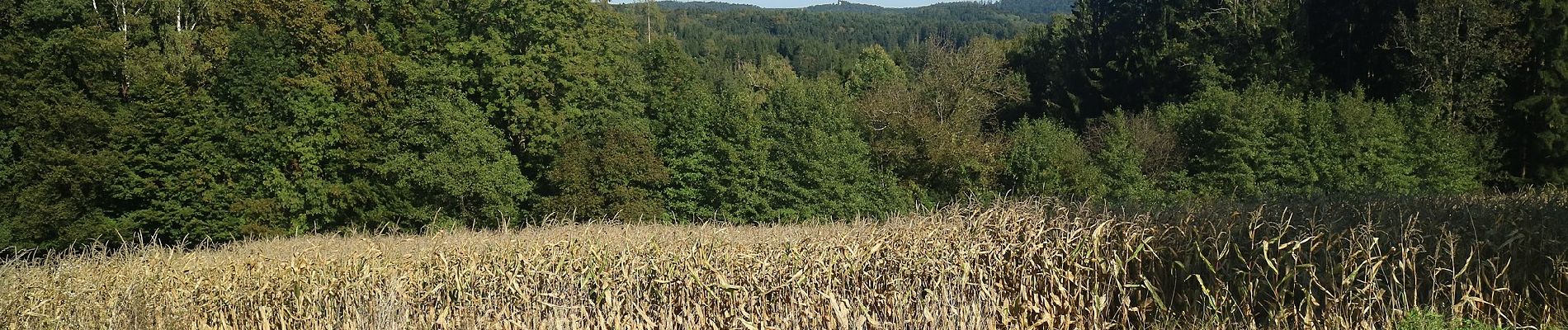 Tour Zu Fuß Thal - Wanderweg 40 - Photo