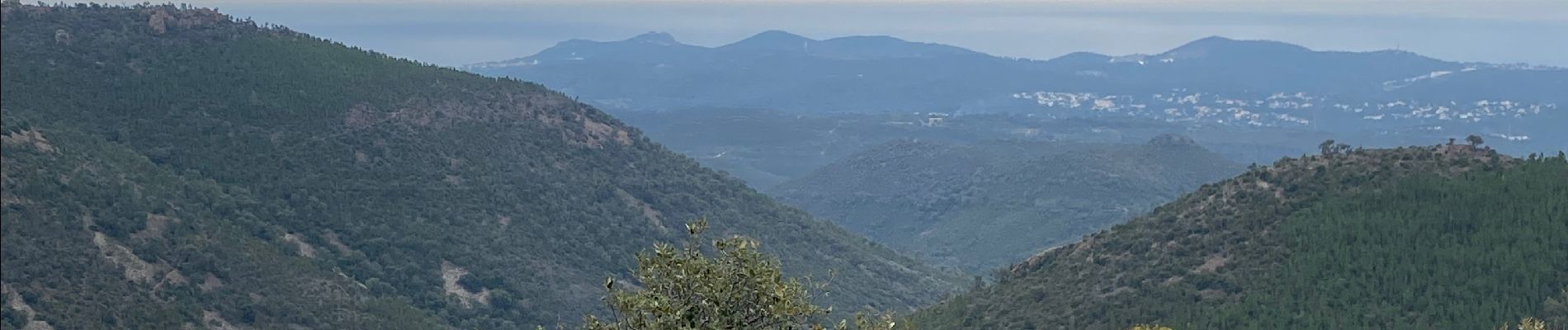 Randonnée Marche Fréjus - Estérel  - Photo