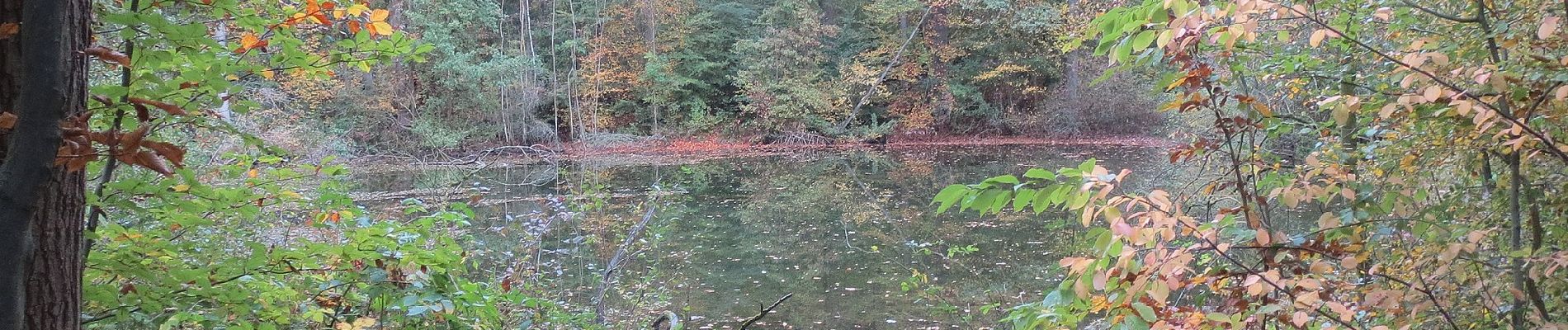 Tour Zu Fuß Schöningen - Elm Rundwanderweg 10 - Photo