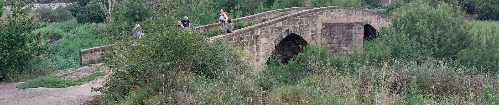 Tocht Stappen Puente la Reina/Gares - 2023 05 estella - Photo